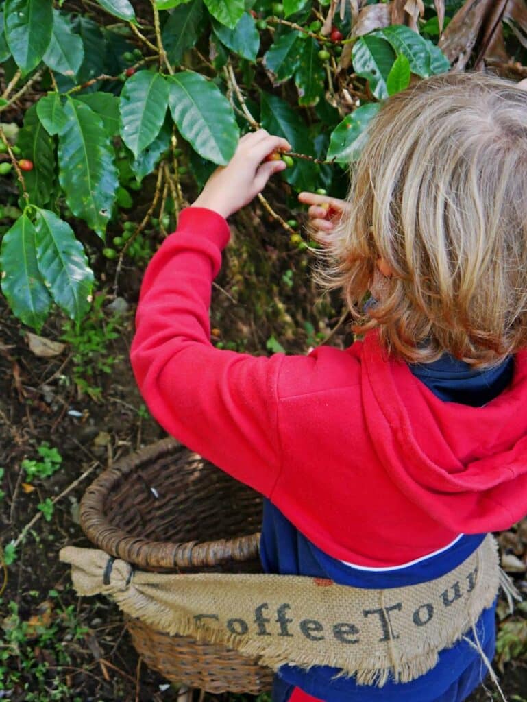 Costa Rica Rundreise - Diese 9 Etappen dürft ihr nicht verpassen! don juan kaffeetour monteverde costa rica route