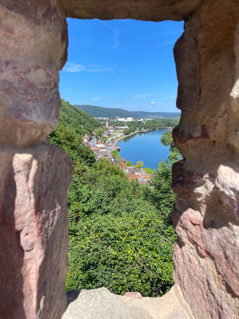 blick auf main aus burgturm