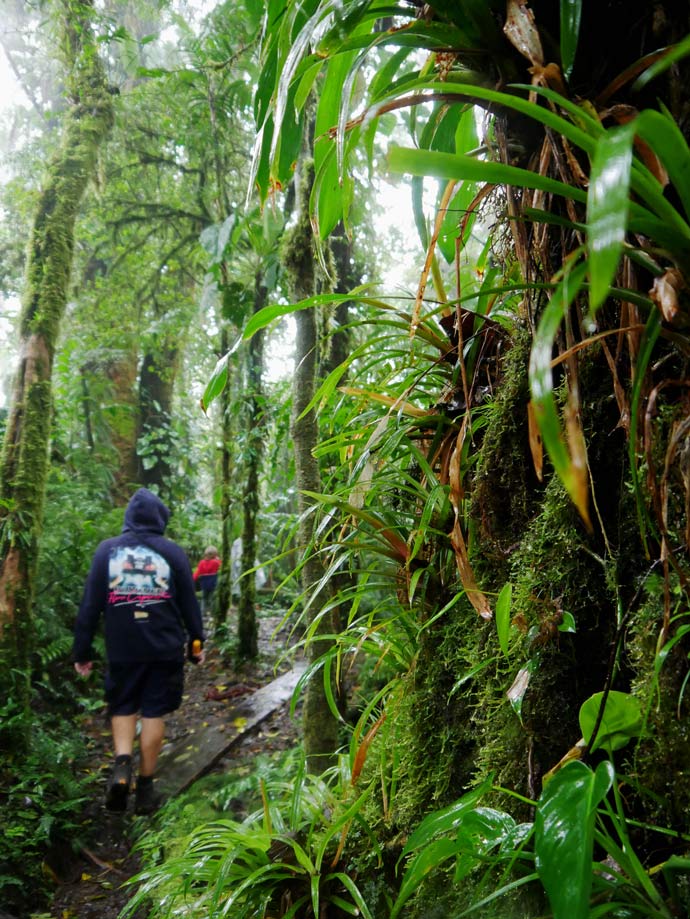 Costa Rica Rundreise - Diese 9 Etappen dürft ihr nicht verpassen! monteverde costa rica rundreise