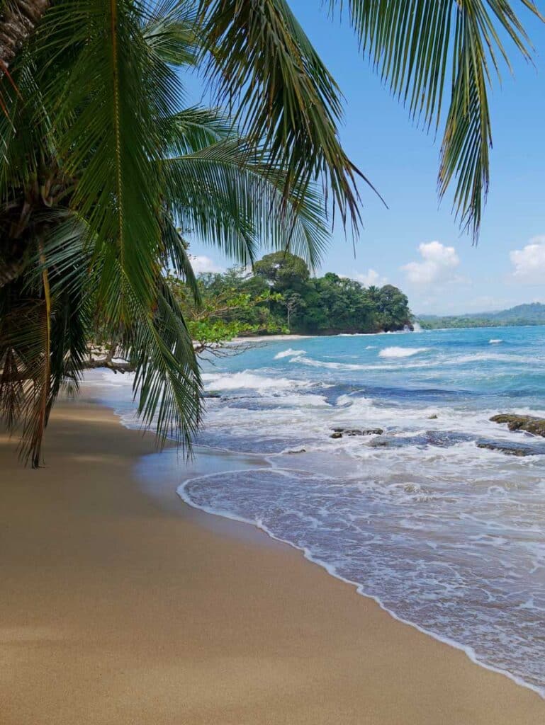 Costa Rica Rundreise - Diese 9 Etappen dürft ihr nicht verpassen! palmenstrand-costa-rica