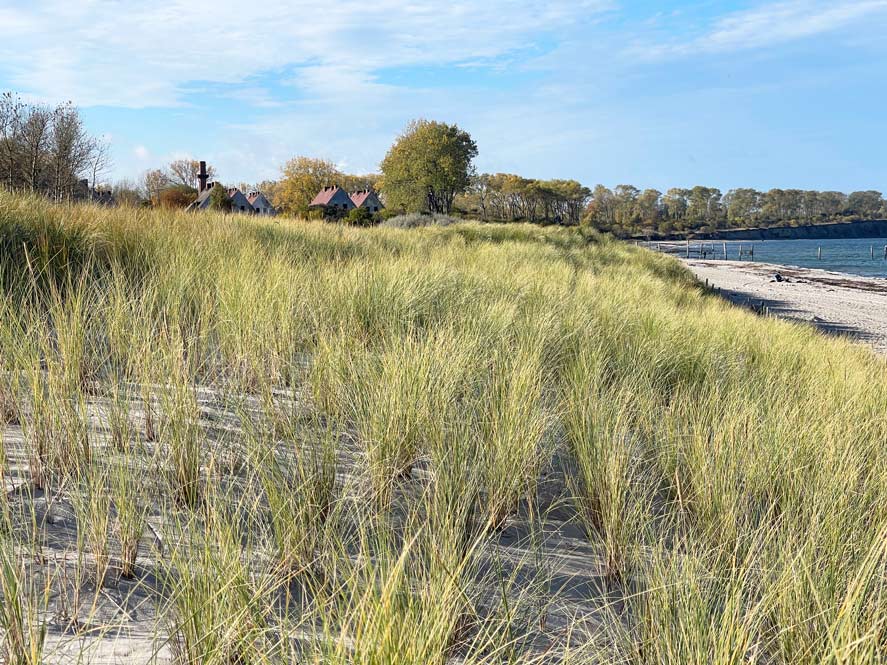 duenen-von-rerik-im-vordergrund-dahinter-halbinsel-wustrow-mit-verfallenen-haeusern-und-rechts-strand