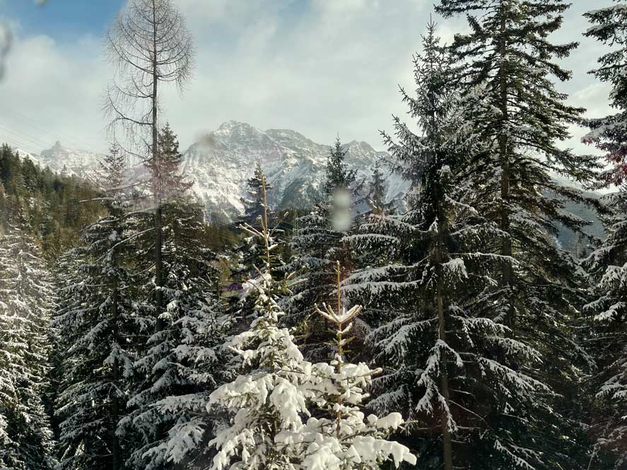 Bernina Express vs. Regionalbahn: Tipps für die perfekte Zugreise durch die Schweizer Alpen schneelandschaft-aus-zugfenster-bernina-express