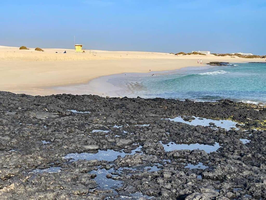14+ Fuerteventura Sehenswürdigkeiten für den Familienurlaub lavagestein, dahinter heller sandstrand am blauen wasser auf fuerteventura