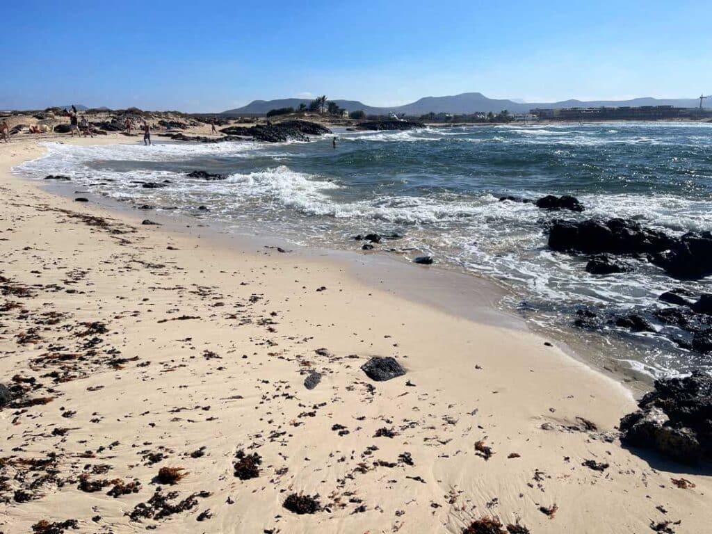 Unsere Top 11 Strände auf Fuerteventura heller-sandstrand-mit-einzelnen-dunkelnen-felsen-am-blauen-meer-auf-fuerteventura