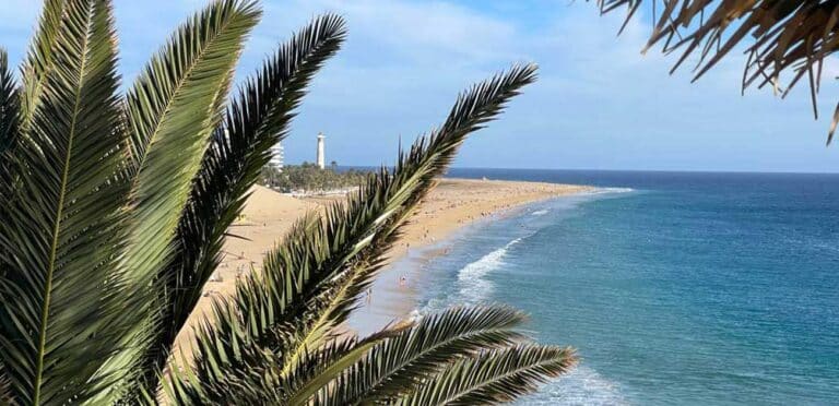 Mehr über den Artikel erfahren 14+ Fuerteventura Sehenswürdigkeiten für den Familienurlaub