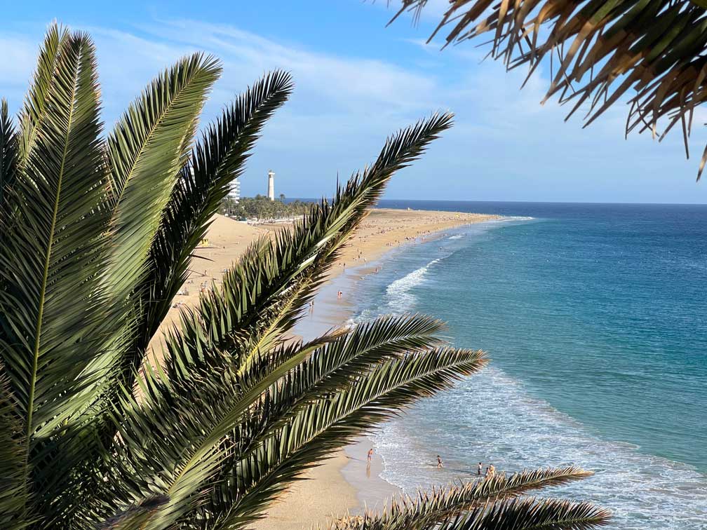 Unsere Top 11 Strände auf Fuerteventura blick-durch-palmenblaetter-auf-sandstrand-meer-und-weissen-leuchtturm-morro-jable