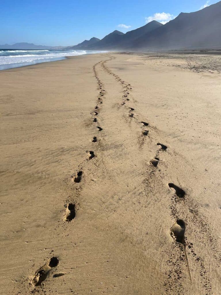 Unsere Top 11 Strände auf Fuerteventura fussspuren-auf-einsamen-sandstrand-auf-fuerteventura