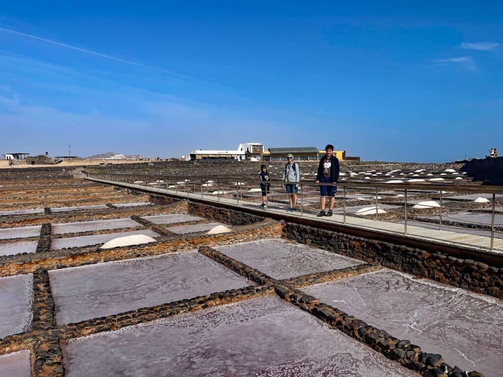 14+ Fuerteventura Sehenswürdigkeiten für den Familienurlaub saline fuerteventura ausflugsziele familien