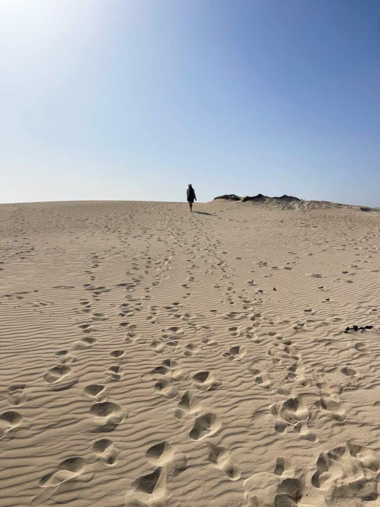 14+ Fuerteventura Sehenswürdigkeiten für den Familienurlaub mensch läuft in der ferne auf sanddüne auf fuerteventura