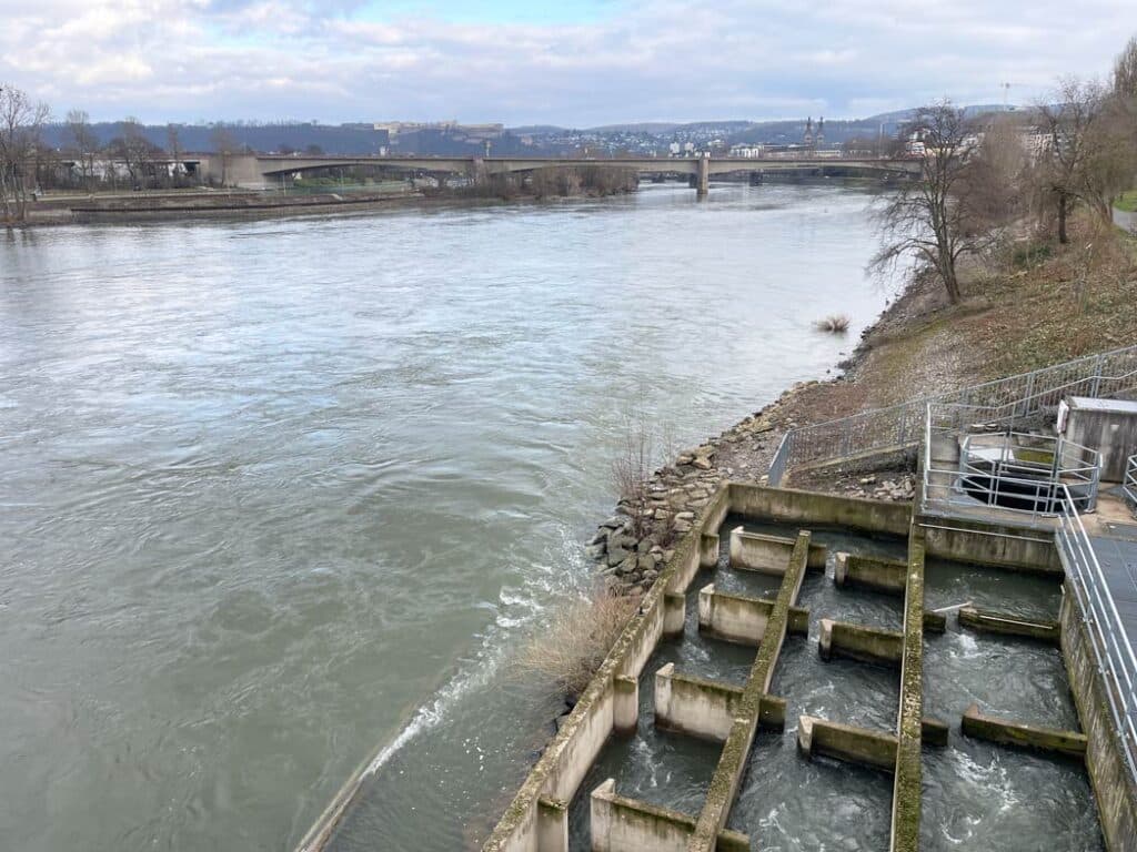 Koblenz Sehenswürdigkeiten: Tipps für den Wochenendausflug blick-auf-fischtreppe-an-der-mosel-in-koblenz