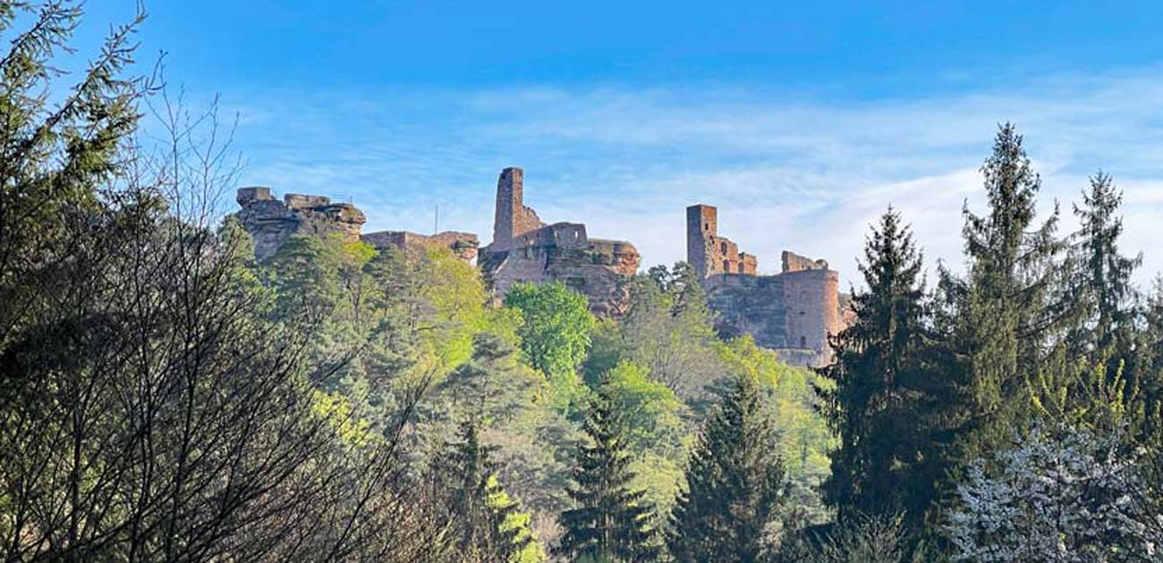 Du betrachtest gerade Wandern im Dahner Felsenland 🥾 7+ Tipps