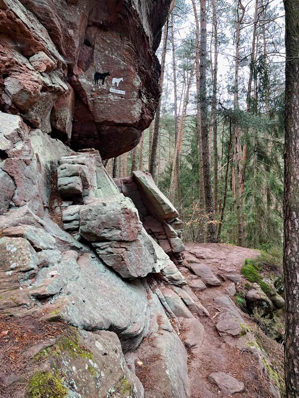 Wandern im Dahner Felsenland 🥾 7+ Tipps schmale wege direkt an den roten sandsteinen am dahner felsenpfad