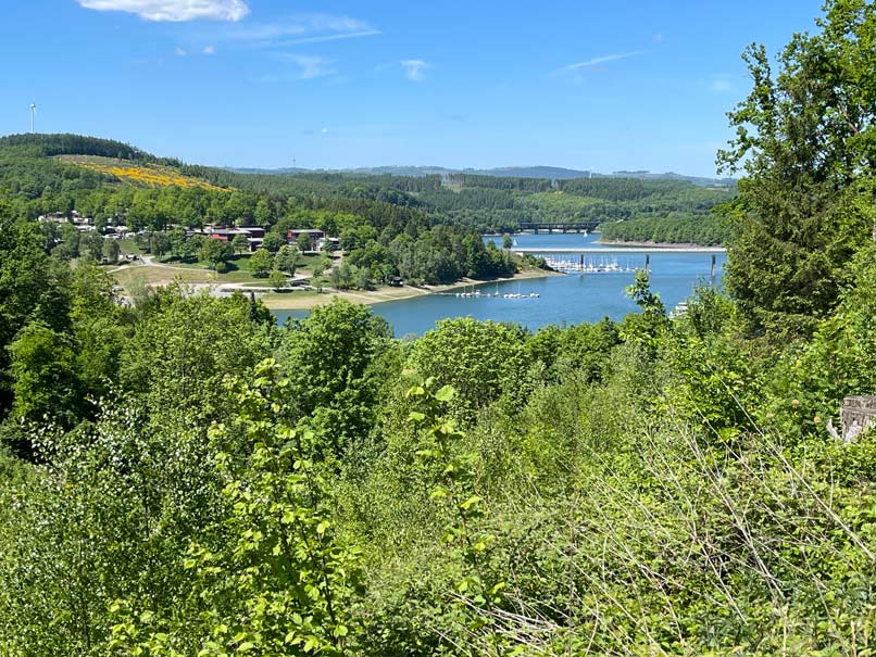 Biggesee Camping: 7+ Tipps für den See im Sauerland ausblick über büsche auf biggesee vom bigge lister weg
