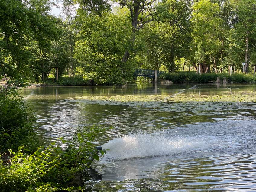 Hildesheim Sehenswürdigkeiten - Fachwerk, Duftrosen und Weltkulturerbe – Ein Tag in Hildesheim ehrlich-park-hildesheim-begrünter-park-mit-teich