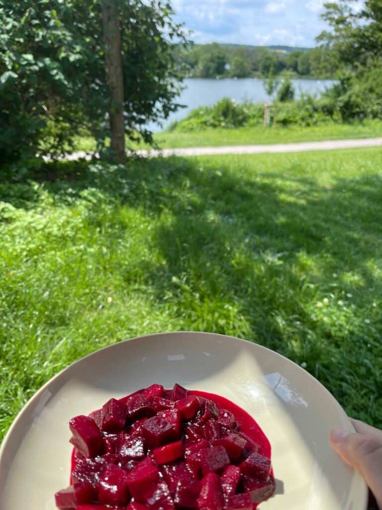 Hildesheim Sehenswürdigkeiten - Fachwerk, Duftrosen und Weltkulturerbe – Ein Tag in Hildesheim rote-beete-eintopf-auf-teller-an-grüner-wiese-mit-blick-auf-see-in-hildesheim