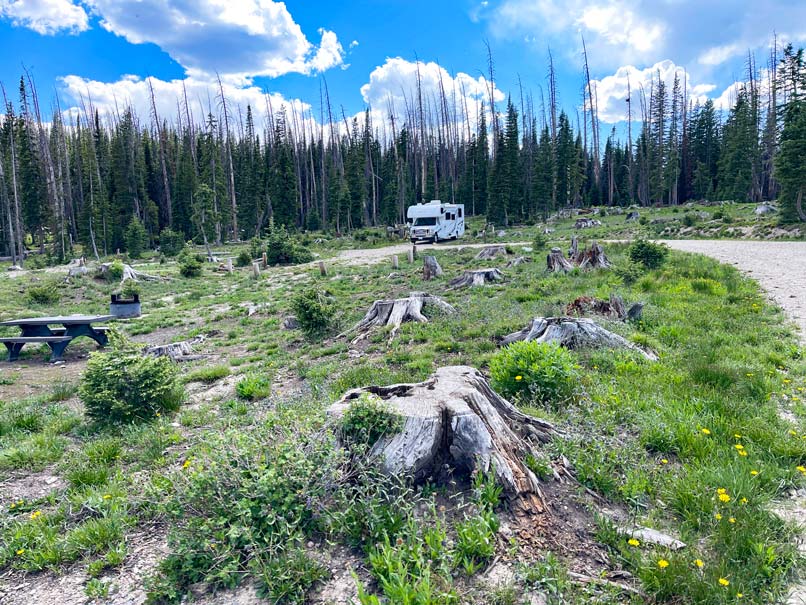 wohnmobil auf campingplatz im national forest in den usa