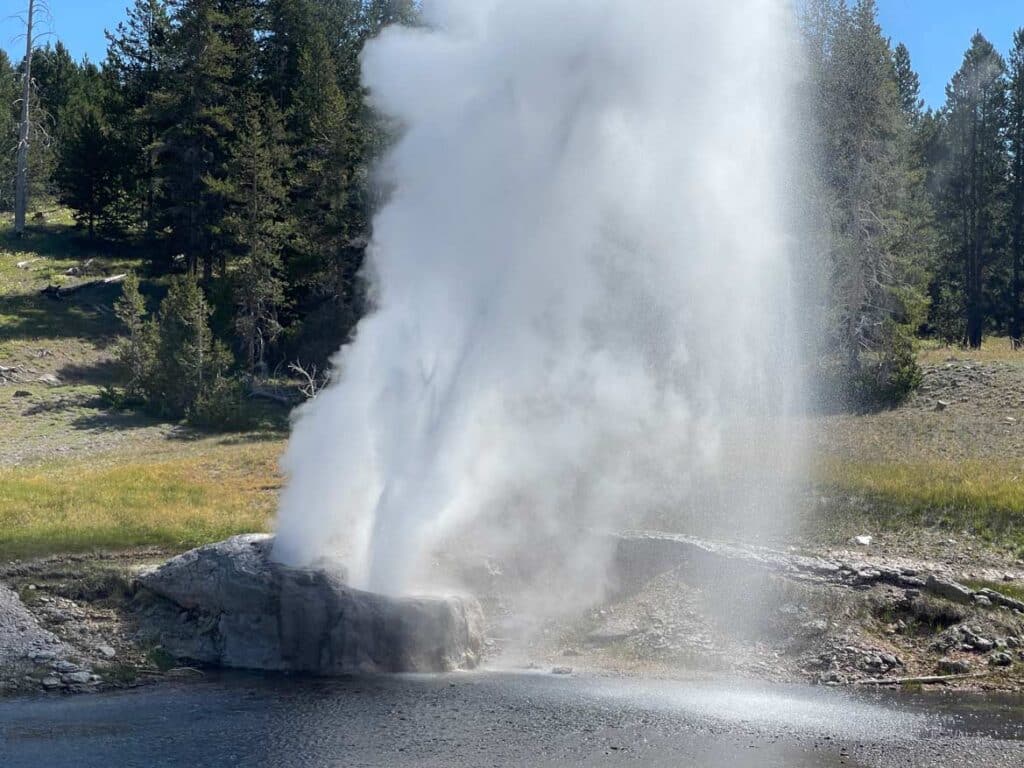 geysir am fluss im yellowstone nationalpark