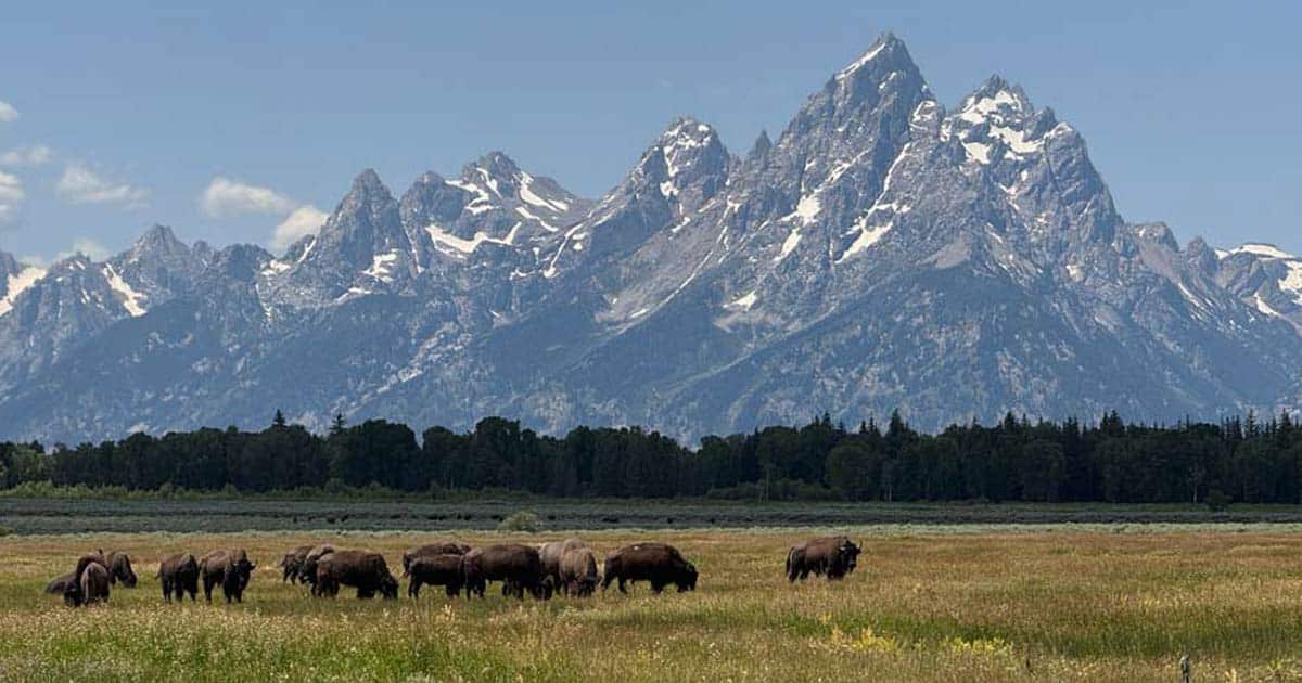 Du betrachtest gerade USA Rundreise Denver – mit Yellowstone Nationalpark