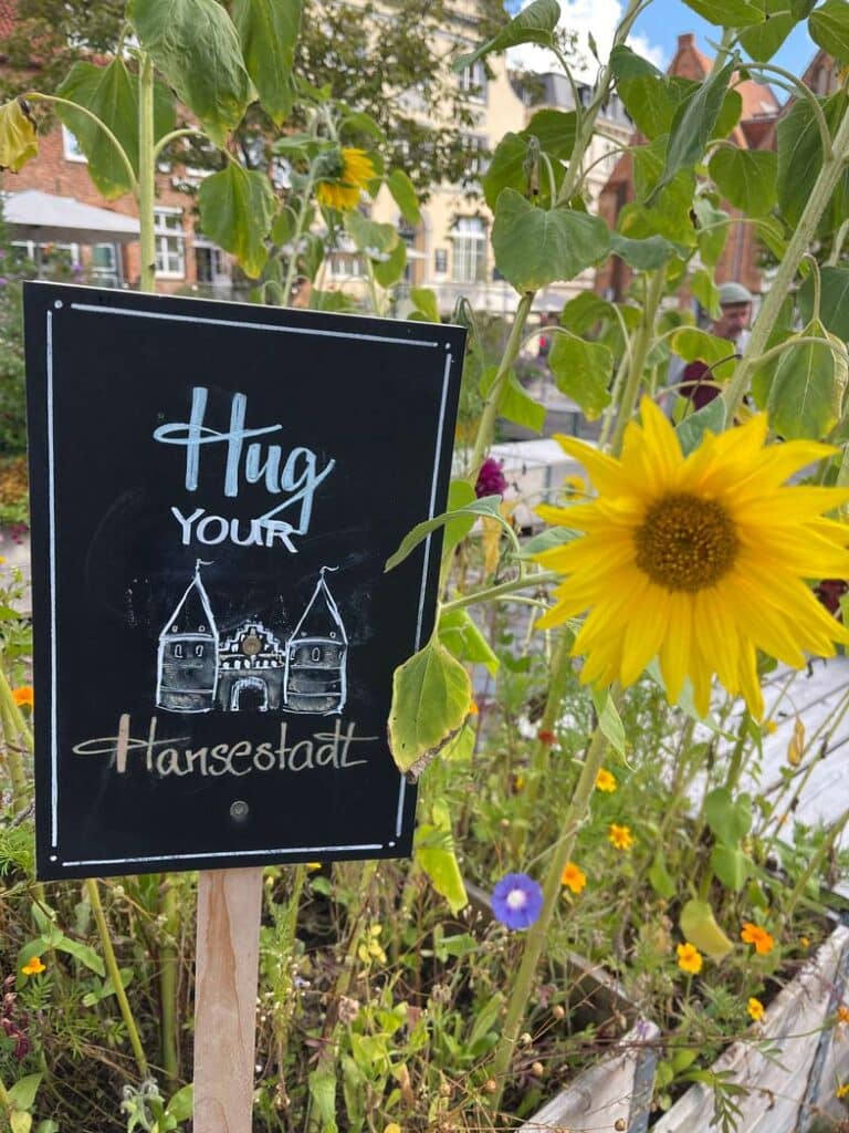 luebeck mit camper ostsee route