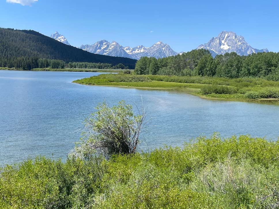aussichtspunkt oxbow bend im grand teton nationalpark