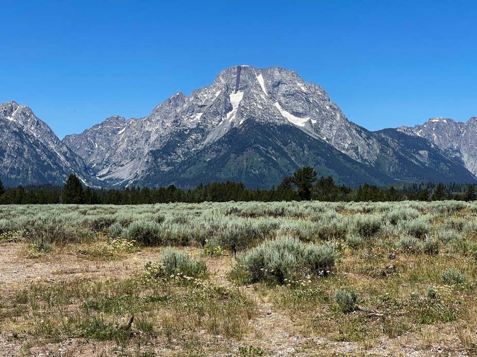 reisebericht grand teton nationalpark mount moran viewpoint