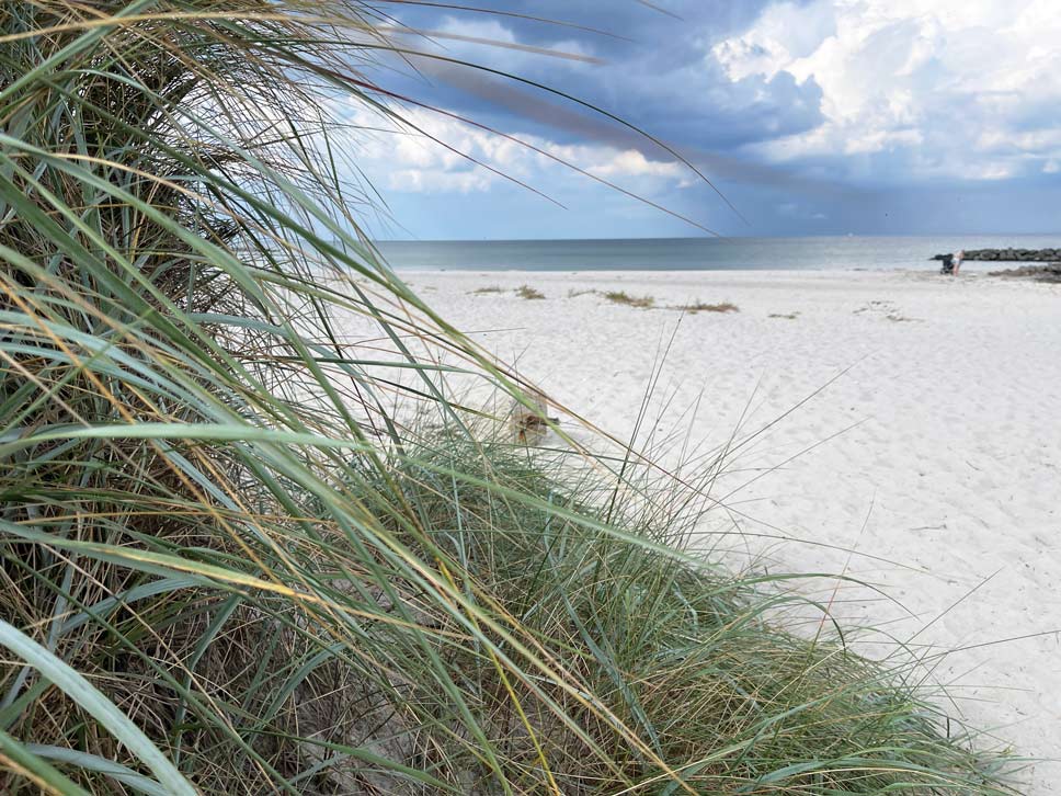blick vorbei an dünen auf weißen sandstrand brasilien an der ostsee