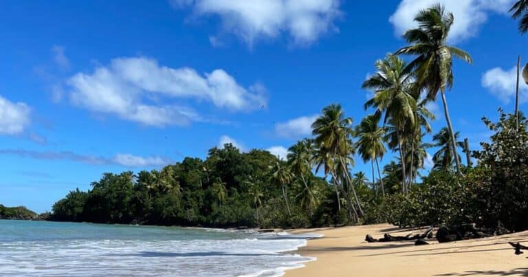 Mehr über den Artikel erfahren Dominikanische Republik Roadtrip: Route mit dem Mietwagen für 2 Wochen