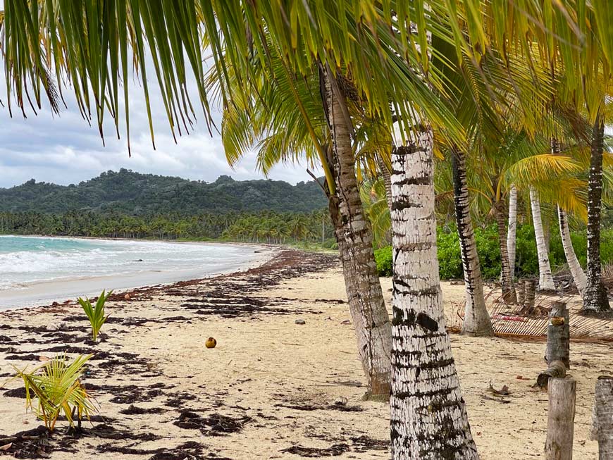 einsamer strand in der dominkanischen republik playa rincon