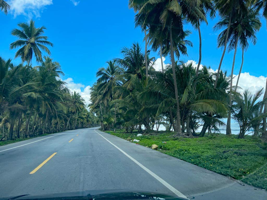 von Palmen gesäumte Straße in der Dom Rep