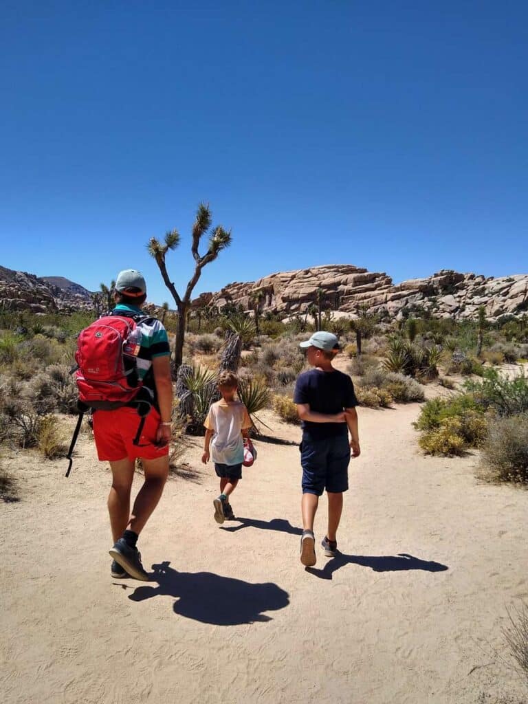 joshua tree nationalparks usa aenderung jahrespass 2026