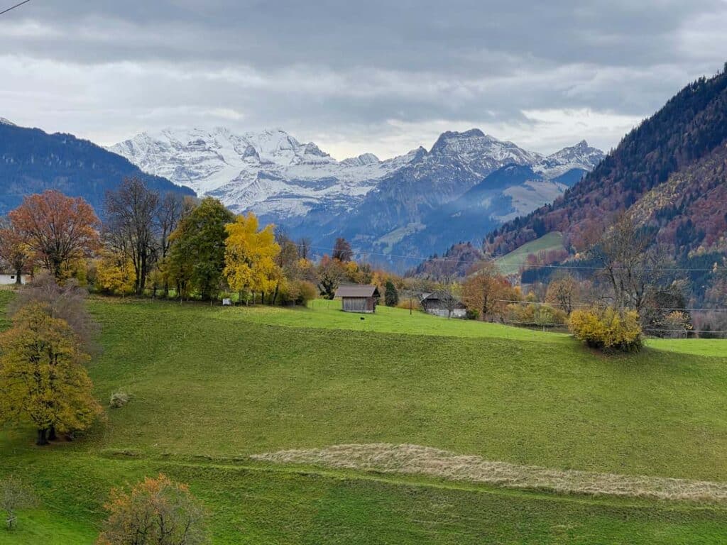 grüne wiese dahinter schneebedeckte berge in der schweiz