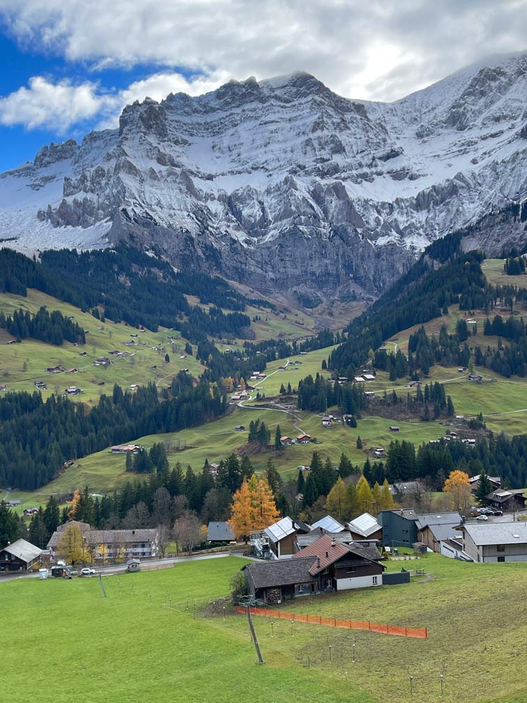 landschaft in adelboden mit kleinen holzhuetten auf gruener wiese, nadelbäumen dahinter hohe schroffe schneebdeckte berge