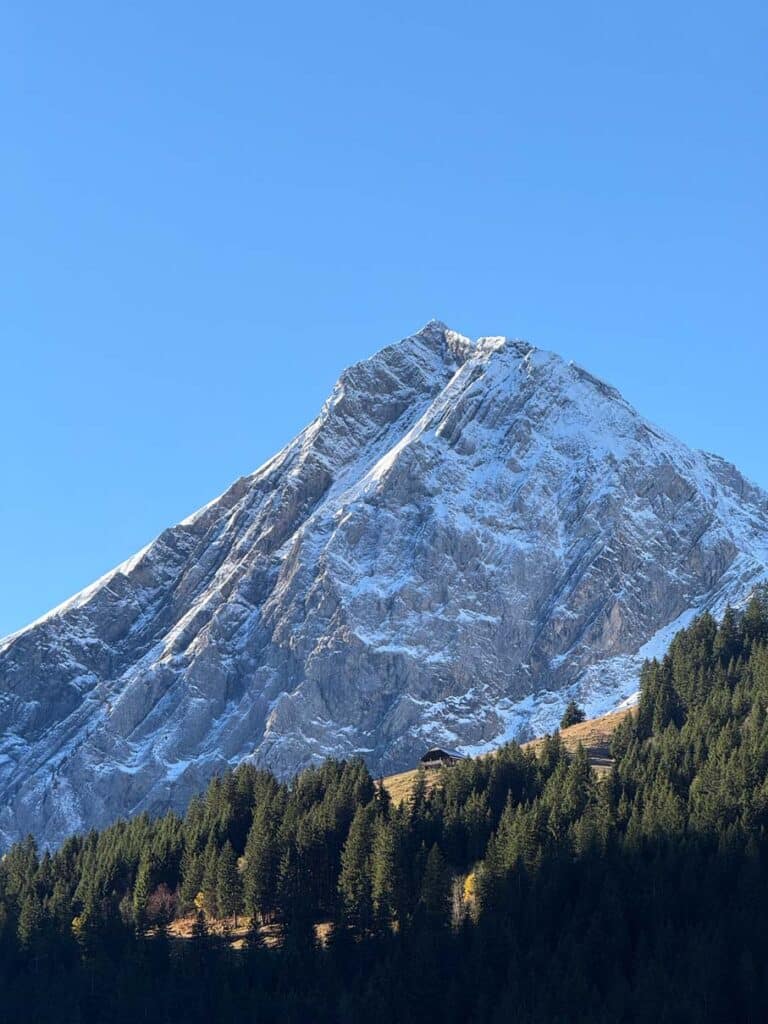 kleine berghütte hinter dem nadelwald vor hohem schneebedeckten berg in adelboden