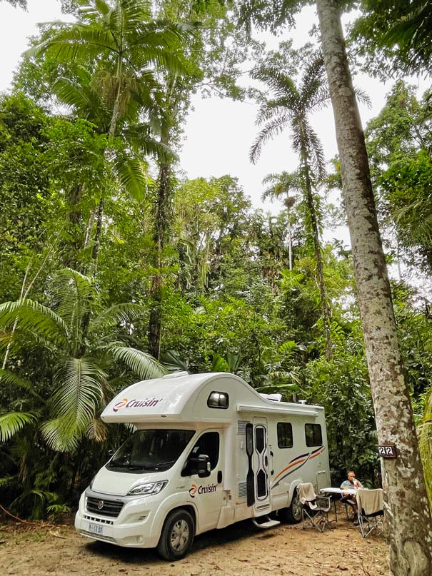 wohnmobil unter palmen im daintree in australien