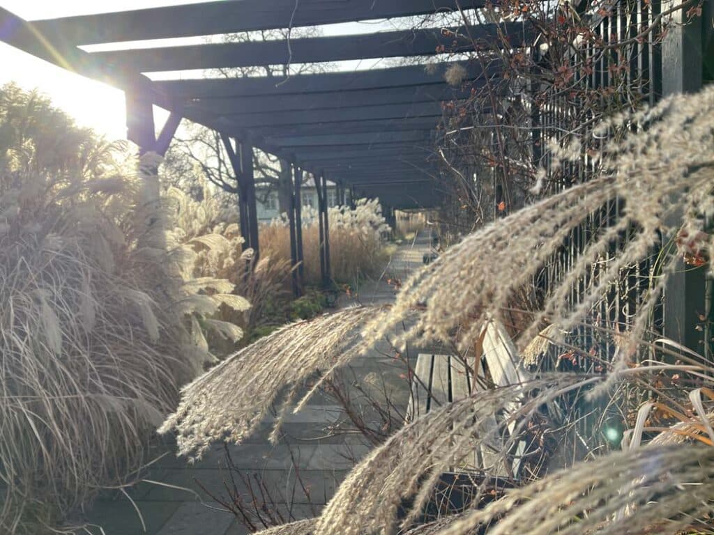 sanftes licht unter holzüberdachung im egapark