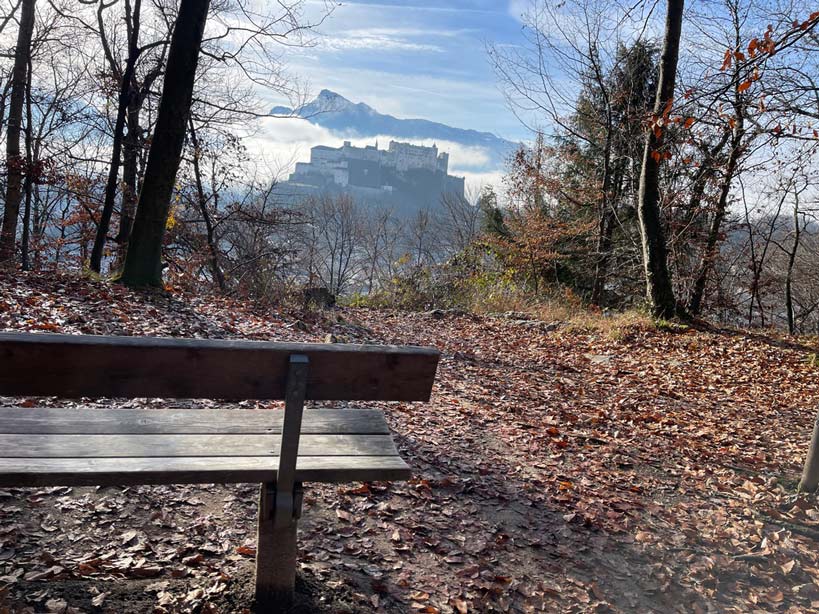 parkbank im wald mit blick auf festung hohensalzburg