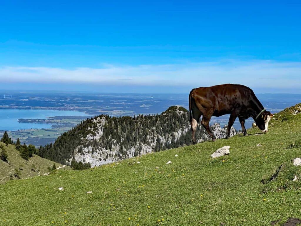 wanderung chiemsee kampenwand