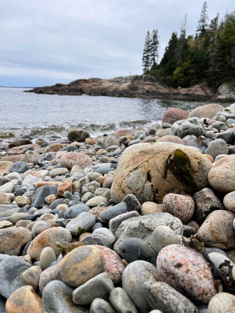steiniger strand im acadia nationalpark