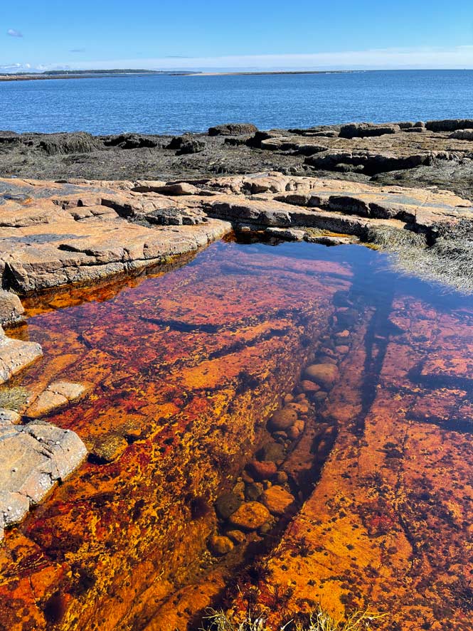 acadia nationalpark mit rot schimmerndem wasserbecken