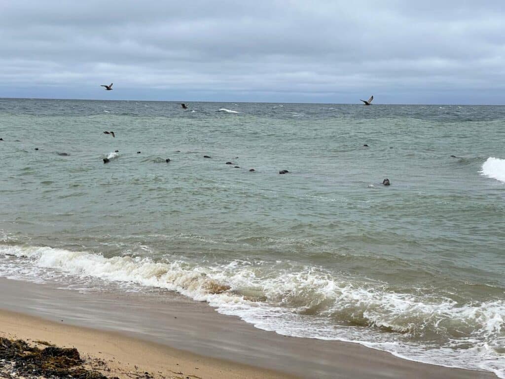 cape cod neuengland rundreise