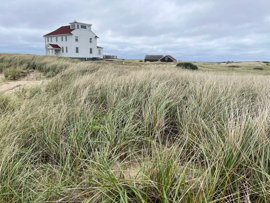 strand mit dünen cape cod