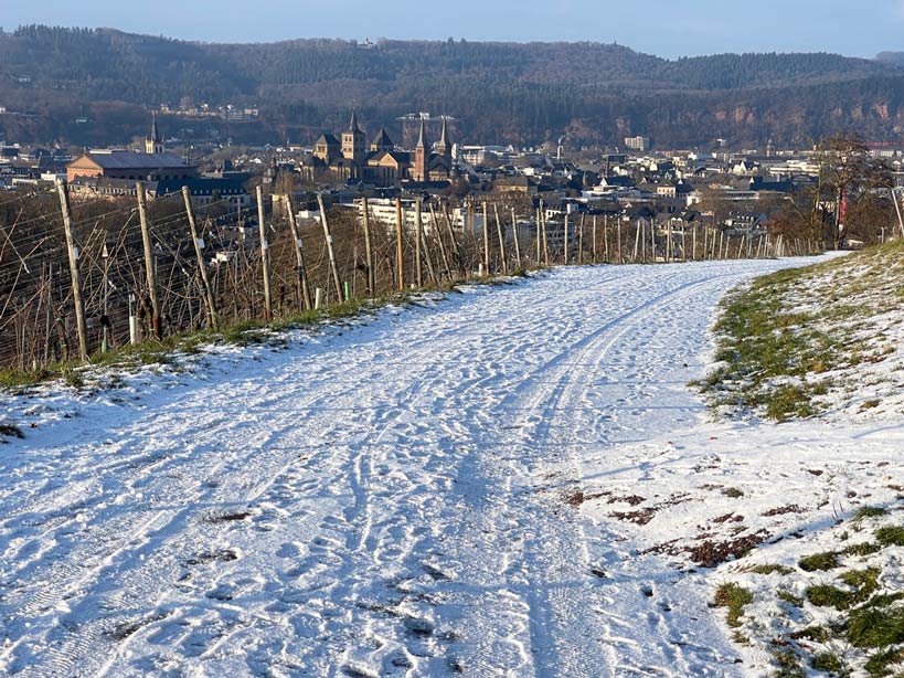 weg in verschneiten weinbergen mit blick auf dom trier