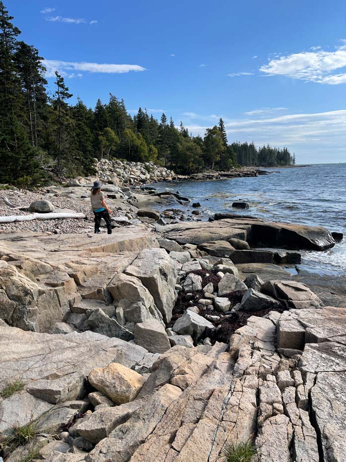 junge steht auf felsen am meer im acadia nationalpark