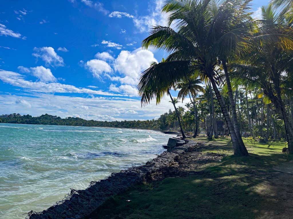 meer mit palmen gesäumter promenade in der dom rep