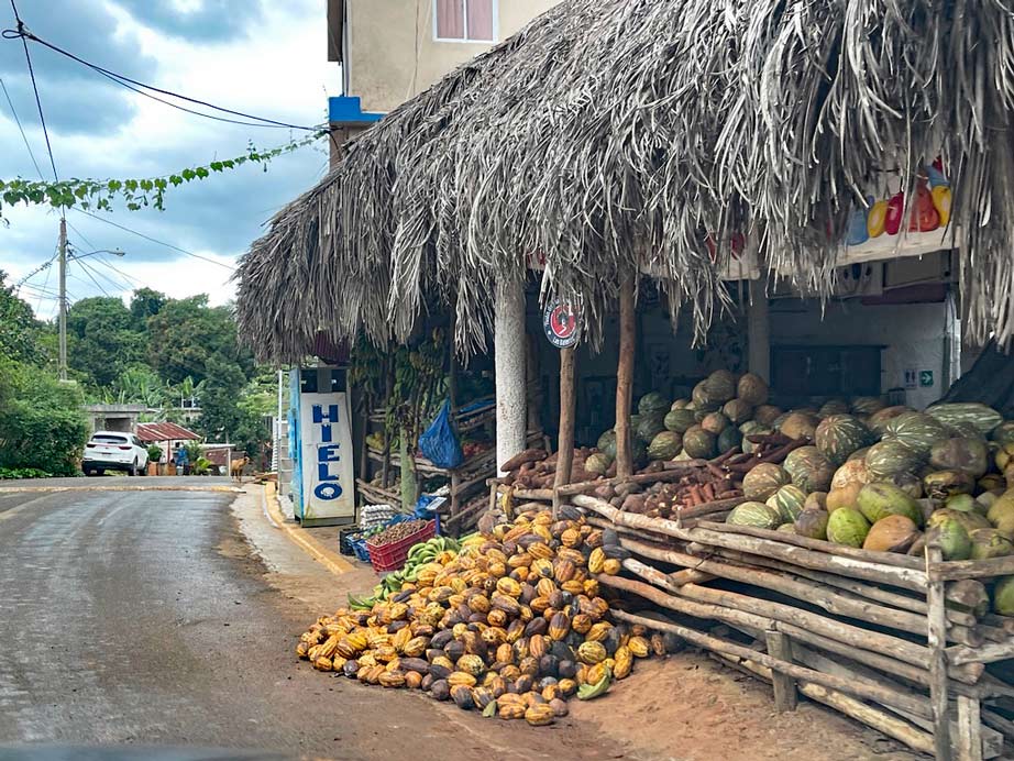 obstverkauf dominikanische republik urlaub