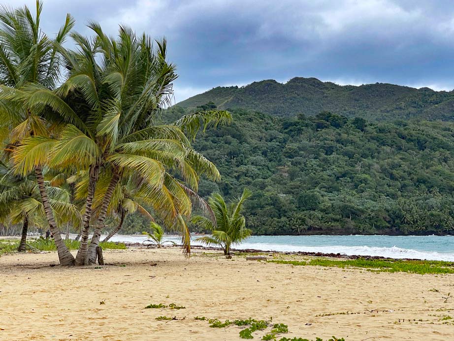 einsamer, wilder strand auf der halbinsel samana - playa rincon