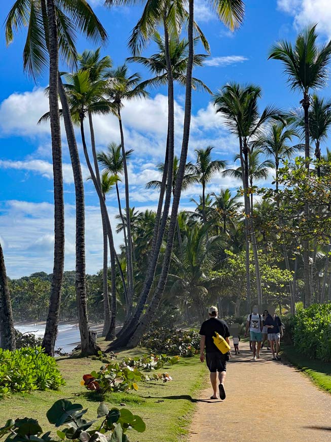 mann läuft auf promenade am playa bonita, die von palmen gesäumt ist