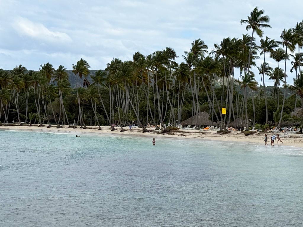 blick über meer auf sandstrand mit palmen auf der halbinsel samana
