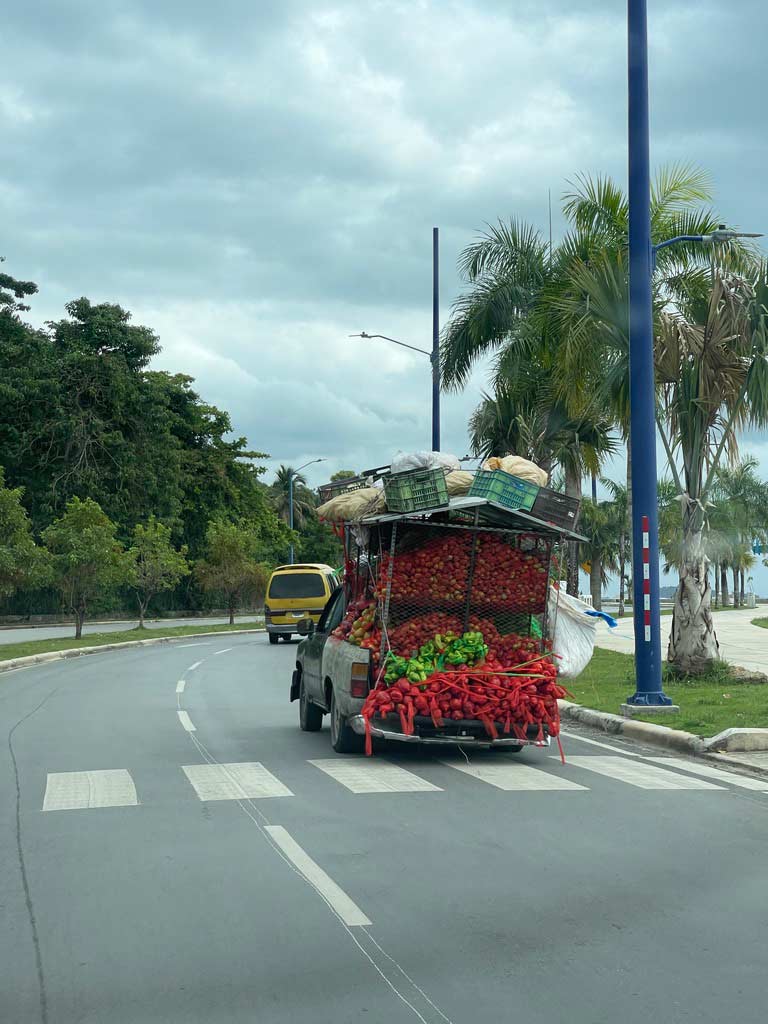 obst und gemüsewagen in der dom rep