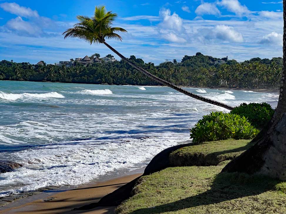 schiefe palme über dem meer auf der halbinsel samana